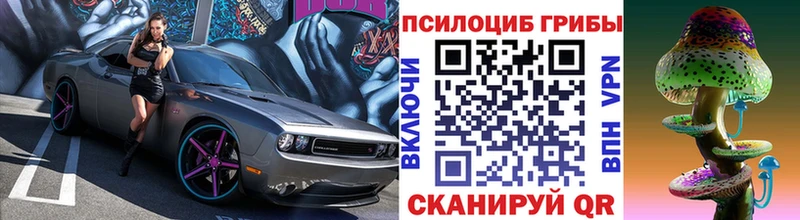 Псилоцибиновые грибы MAGIC MUSHROOMS  МЕГА онион  Сасово 